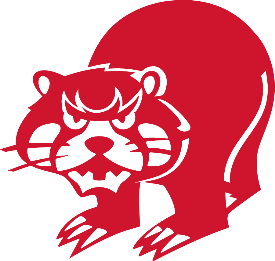 Cincinnati Bearcats 1973-1976 Secondary Logo iron on transfers for T-shirts